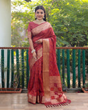 VSaree Multi Color Bandhej Patola Silk Saree For Woman Party Wear And Festival Saree