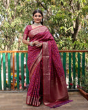 Vsaree Multi Color Bandhej Patola Silk Saree Kanchi Borders And Contrast Zari Weaving Borders VSaree For Woman