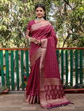 Bandhani Silk Saree with Bandhej Work Multi Color Silk Saree With Rich Zari Border & Tussal  By Vsaree