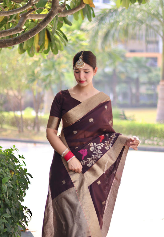 Vsaree  Brown Silk Saree With traditional Jamdani type weaving border And Blouse