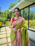 Vsaree Printed Design Soft Silk Saree With Rich Designer Pallu And Blouse