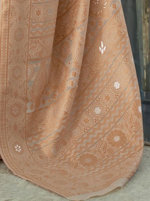 Vsaree Chikoo Banarasi Tussar Silk Designer Saree With Banarasi Border And Blouse